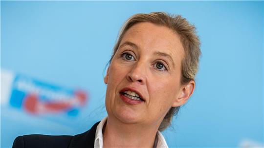 AfD-Chefin Weidel kann sich über gute Umfragewerte freuen. (Archivbild)