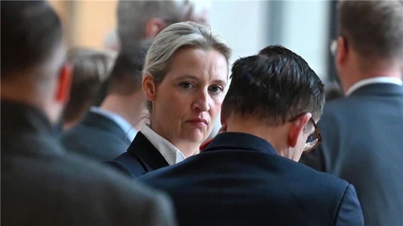 AfD-Chefin Weidel warnt vor Gewalt gegen AfD-Mitglieder.