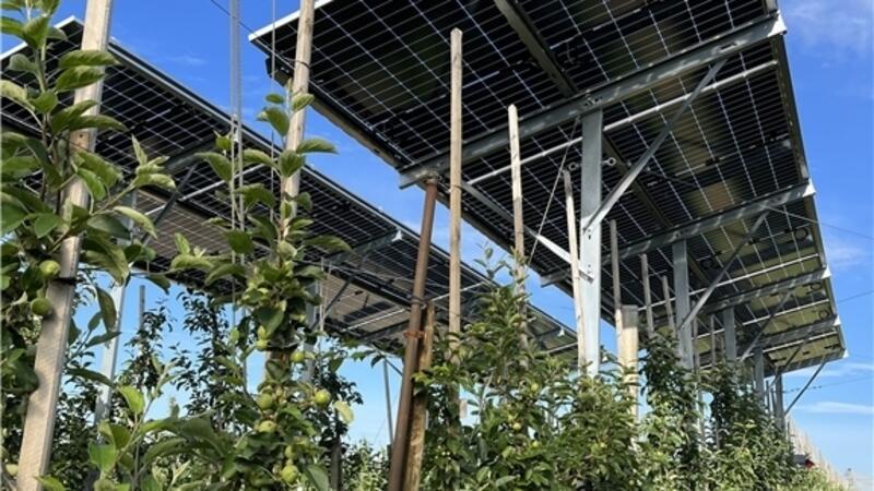 In Neuenkirchen soll ein Agri-Solarpark an der A26 entstehen Agri-PV: Auf der Anlage des Obstbauzentrums Esteburg stehen seit 2022 erste Module.