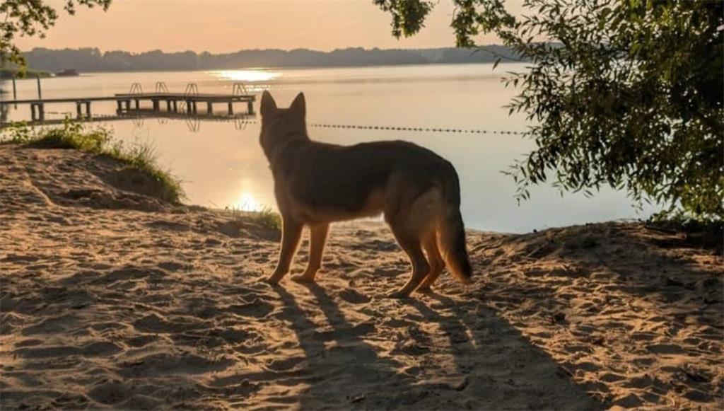 Akan (9) und Frauchen Christine Hegeholz aus Revenahe wollen einen schönen Tag i...