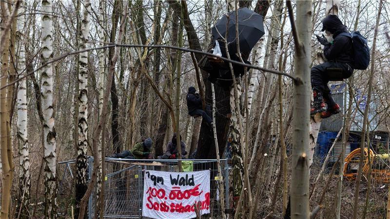 Aktivisten besetzten Bäume in dem Waldstück. 