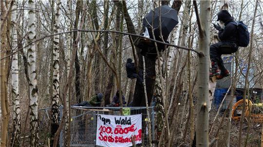 Aktivisten besetzten Bäume in dem Waldstück. 