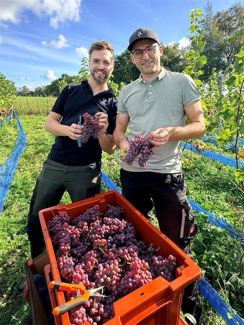 2400 Reben: Wie Freunde den Weinbau auf die Geest holen Alexander Ernst (links) und Florian Schubert sind seit ihrer Kindheit befreundet. Heute bauen sie gemeinsam mit ihren Partnerinnen Wein auf der Geest an.