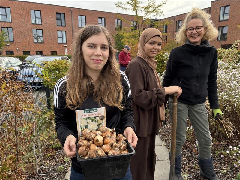 Dieses Projekt berührt: Wie Schüler in Riensförde von Senioren lernen Alina und Madina von der Oberschule haben heute Blumenzwiebeln eingesetzt.