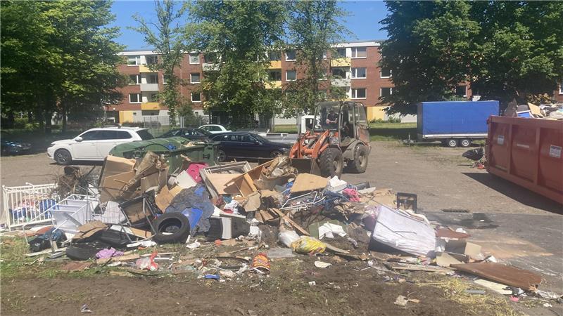 Ratten im Müll: Wie die Stadt Stade im Altländer Viertel aufräumt Alle Wildmüllberge wurden kürzlich im Auftrag der Stadt von Mitarbeitern der Stader Firma Buhrfeind beseitigt.