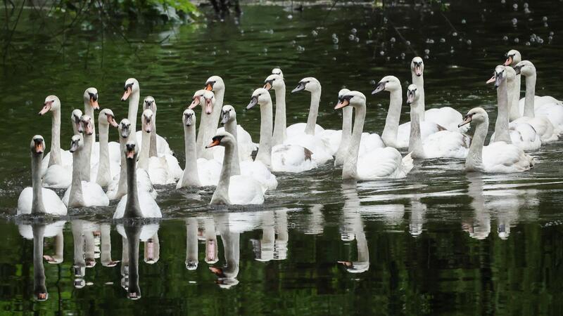 Alle gemeinsam zurück auf die Alster.