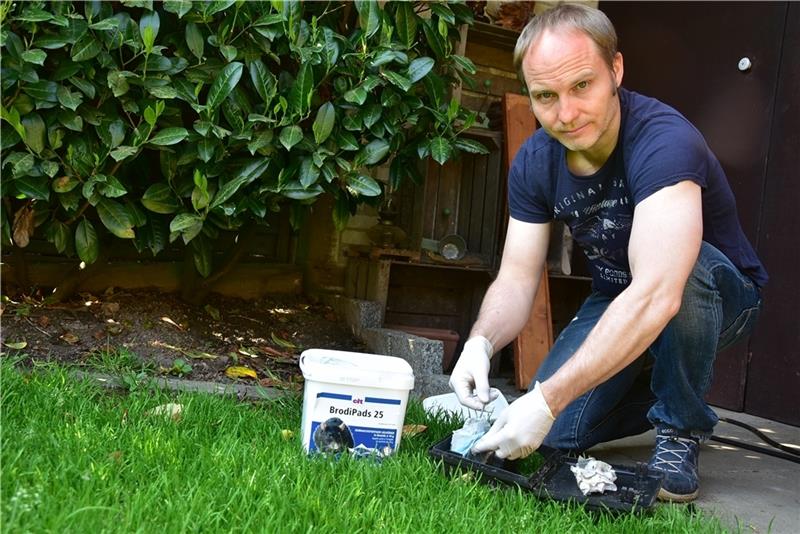 Alle paar Tage muss Jörg Müller aus Harsefeld seine Rattenfallen auffüllen. Alle Versuche, das Nagerproblem allein zu lösen, schlugen fehl. Foto: Ahrens