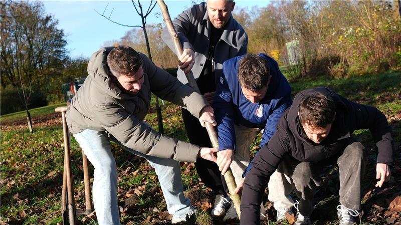 Alle packen an für mehr Naturschutz. Die Band Revolverheld hat ihren Baum direkt selbst in die Erde gebracht. (Archivbild)