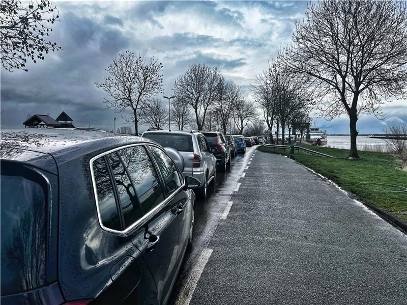 Alle vier Schiffe der FRS Elbfähren fahren seit 4.30 Uhr am Sonnabendmorgen nonstop. Bei gesperrtem Elbtunnel ist am Anleger trotzdem stundenlanges Warten angesagt. Fotos: Richter