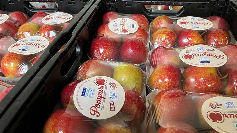 Obstbau an der Niederelbe sucht Wege aus der Krise am Apfelmarkt Allergiker als neue Zielgruppe: Foodtainer mit Pompur-Äpfeln in der Kiste.