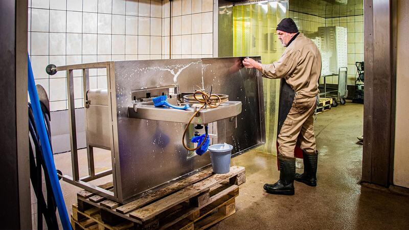 Alles Handarbeit - naja fast, denn inzwischen ist eine Säge, die in Seitenlage gereinigt werden muss, bei der Fischräucherei Franke im Einsatz.