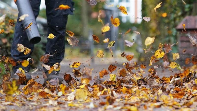Immer wieder Streit: Nachbar soll für herübergewehtes Laub zahlen Allgemein gilt: Gehwege an Grundstücken sind werktags zwischen 7 und 20 Uhr gefahrlos rein zu halten.