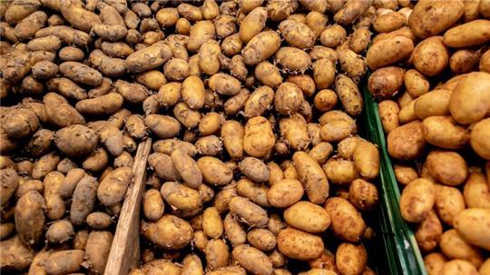 Allgemein ist das Angebot an Frühkartoffeln in diesem Jahr eher knapp.