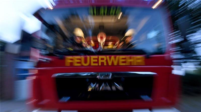 Als der Hausbewohner den Brand bemerkte, konnte er Hunde und Katzen noch unverletzt aus dem Gebäude retten. (Symbolfoto).