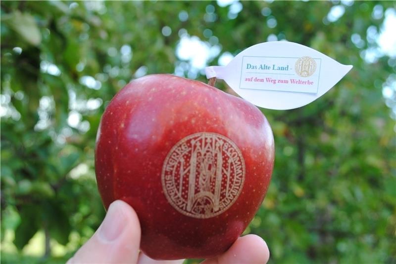 Altländer Apfel als Werbung auf dem Weg zum Welterbe . Foto: Vasel