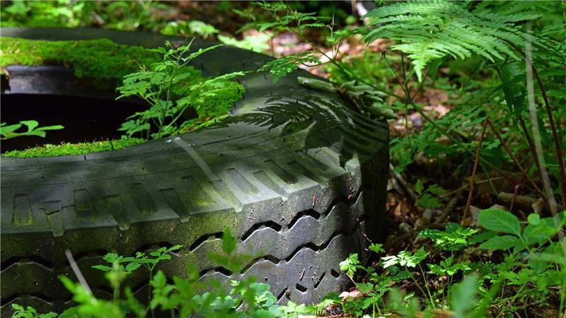 Plastik im Grünabfall: Landkreis Stade schlägt Alarm Altreifen gehören entsorgt, nicht einfach liegen gelassen.