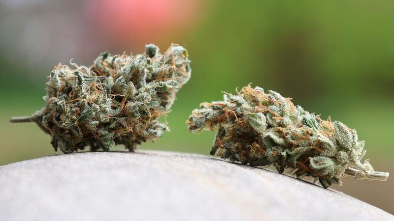 Cannabis-Gesetz: Unions-Justizminister verlangen Änderungen Am 1. April 2024 war das Cannabis-Gesetz in Deutschland in Kraft getreten.