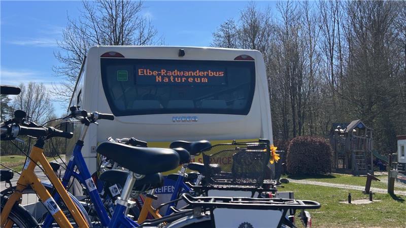 Start in die neue Saison: Was den Elbe-Radwanderbus so besonders macht Am 1. Mai startet der Elbe Radwanderbus in die Saison.