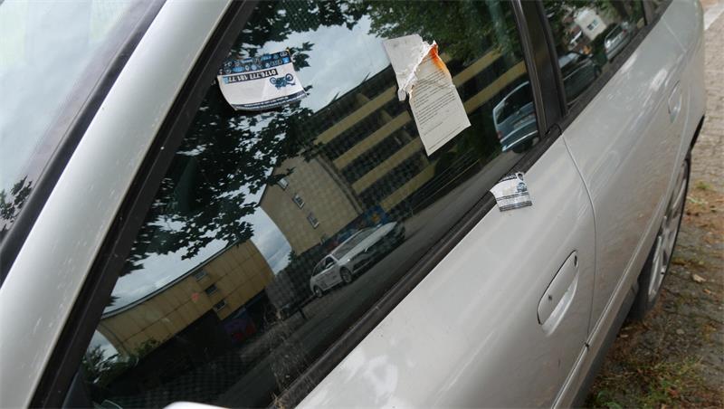 Am Außenspiegel konnten Spinnen schon länger ungestört ihre Netze bauen.
