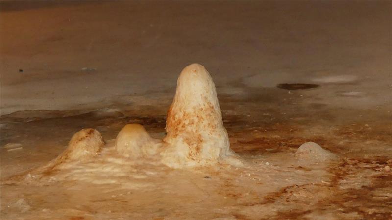 Am Boden des Kriechkellers wachsen sogar Stalagmiten, da von der Decke stetig Wasser tropft.