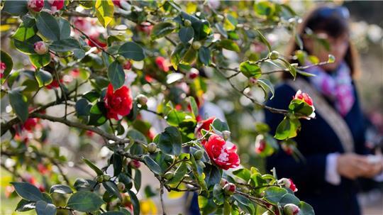 Am Dienstag sind vereinzelte Schauer und Gewitter „ganz zur Freude der langsam aufblühenden Natur“ möglich, so Meteorologe Bauer. 