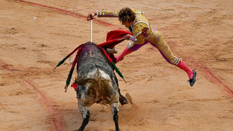Dutzende Verletzte bei Stierhatzen in Spanien Am Ende des Stierkampfes kommt der Todesstoß mit dem Degen.