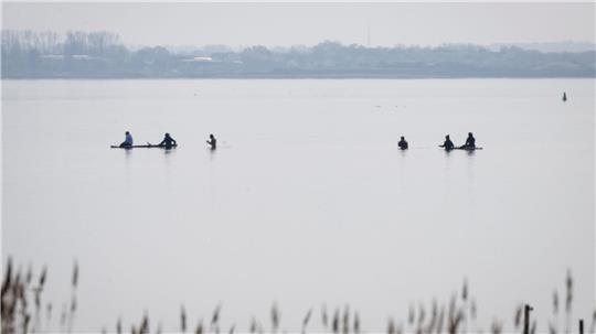 Am Freitag wird die Rettungsaktion für den gestrandeten Buckelwal fortgesetzt.