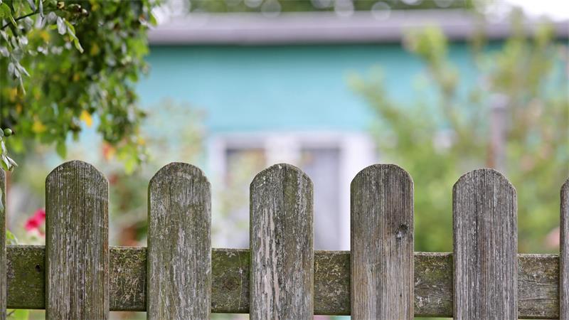Am Gartenzaun kann ein falsches Wort schnell mal eine jahrelange Fehde auslösen.