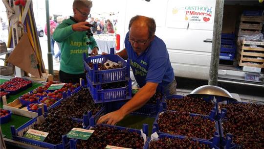 Am Kirschmarkt bieten regionale Obstbauern die begehrten Früchte kistenweise an.