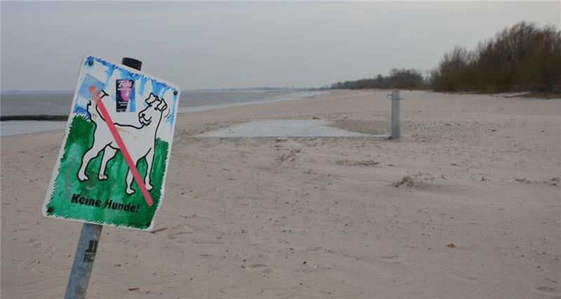 Am Krautsander Strand sind schon jetzt bestimmte Abschnitte ausdrücklich für Hunde verboten . Foto: von Allwörden