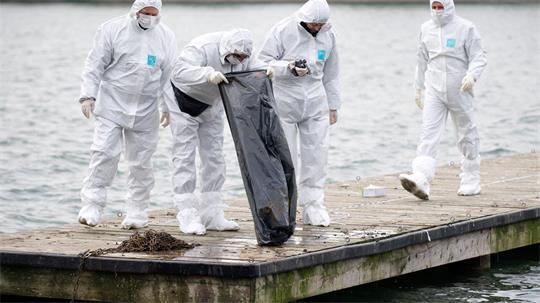 Am Maschsee in Hannover werden Spuren gesichert. (Archivbild) 