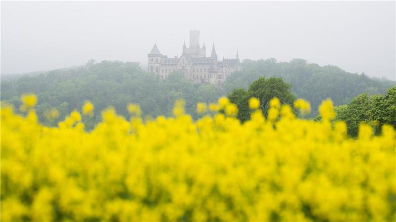 Am Mittwoch wird es in Niedersachsen und Bremen nass - zum Wochenende sagt der DWD Besserung vorher. 