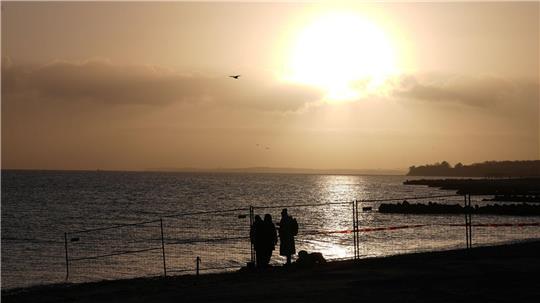 Am Morgen gab es von dem Buckelwal an der Küste vor Timmendorfer Strand zunächst keine Spur.