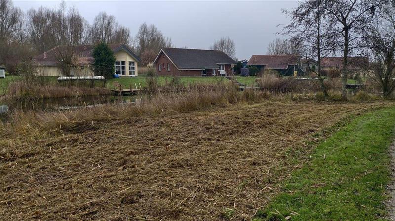 Am Otterndorfer See Achtern Diek kam es zu Mäharbeiten, bei denen drei Igel getötet wurden. Das Areal wurde weitflächig abgemäht, wie auf den Fotos zu erkennen ist.