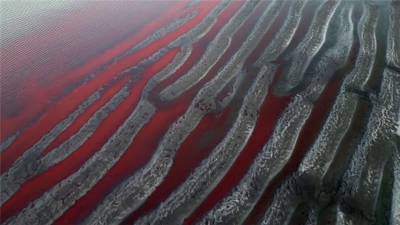 Am Rande von Buenos Aires nimmt ein Wasserlauf einen tiefroten Farbton an.