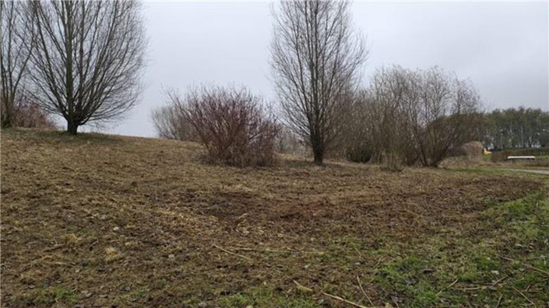 Spaziergänger finden geschredderte Igel in Otterndorf Am See Achtern Diek wurde die Fläche weitläufig gerohdet.