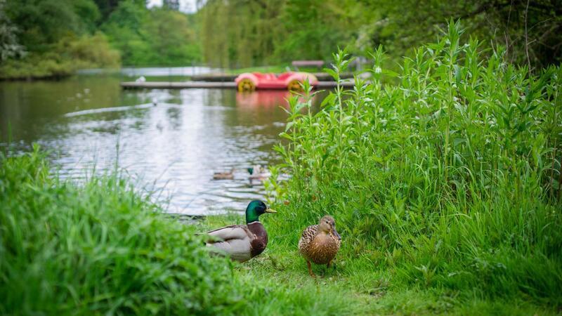 Messerattacke in Bremerhaven: 20-Jähriger Opfer von rassistischer Gewalttat Am Sonntag, 9. Juni, wurde ein 20-Jähriger im Bürgerpark Bremerhaven Opfer einer mutmaßlich rassistischen Gewalttat.