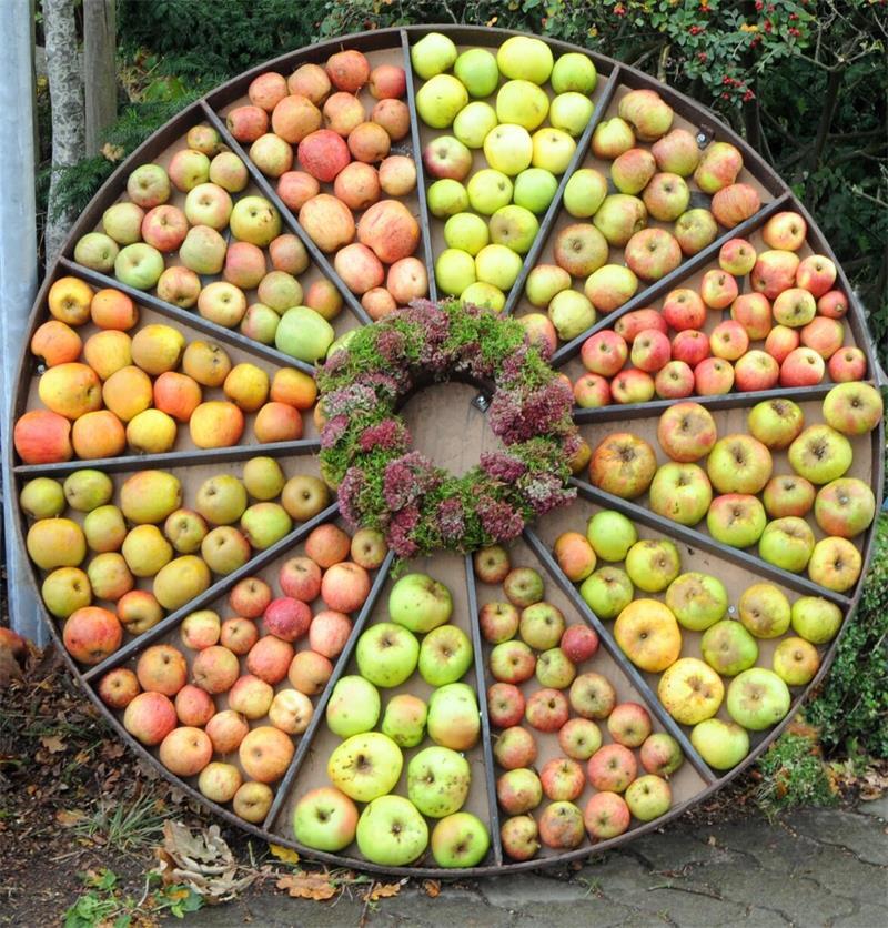 Frischer Saft und alte Sorten: Das bietet der Apfeltag in Ahlerstedt Am Sonntag dreht sich in Ahlerstedt alles um den Apfel.
