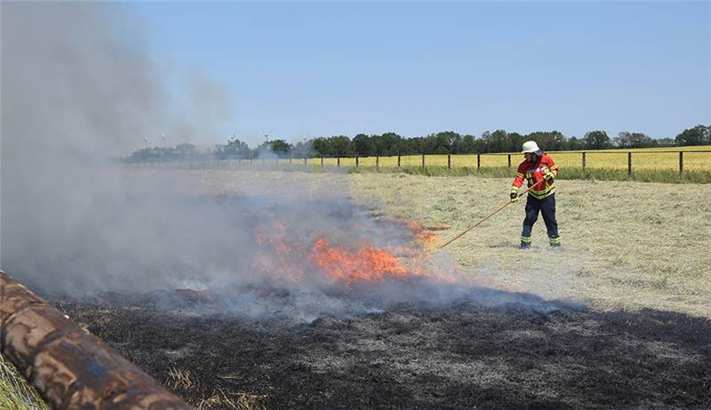 Heufeld in Hollenbeck steht in Flammen – Feuerwehr warnt vor Waldbrandgefahr Am Sonntag standen in Hollenbeck mehrere hundert Quadratmeter Heu in Flammen. Foto: Feuerwehr