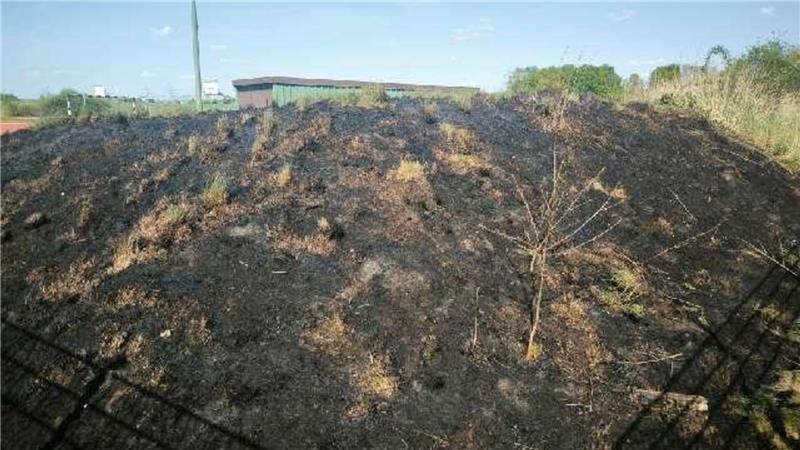 Böller verursacht Flächenbrand in Sottrum Am Sportplatz eines Sottrumer Gymnasiums hat ein bepflanzter Erdwall gebrannt.