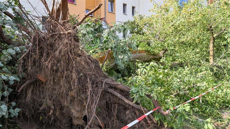 Unwetter mit gleich zwei Tornados toben über Deutschland Am Tag danach ist in Fürstenwalde Aufräumen angesagt.