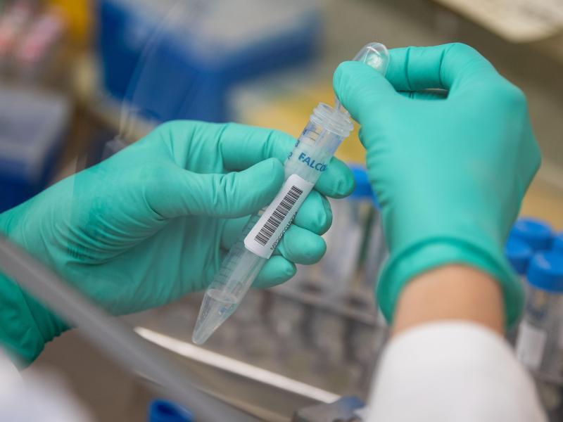 Am Wochenende übermittelt das Kreis-Gesundheitsamt keine Corona-Testergebnisse an das RKI. Foto: Marijan Murat/dpa