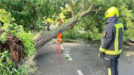 Am späten Nachmittag und Abend ziehen Unwetter über Teile Deutschlands.