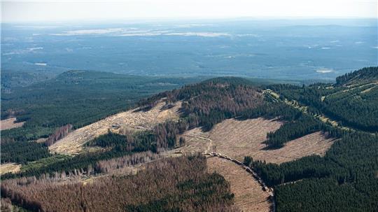 Am westlichen Harzrand soll nach den Rohstoffen gesucht werden (Archivbild).