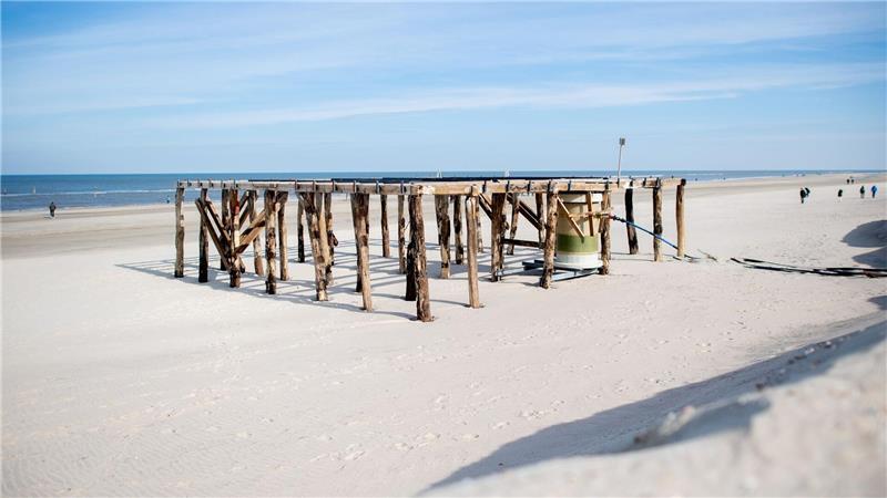 An dem Holzgerüst sollen in diesem Sommer Hängematten hängen. (Archivbild)