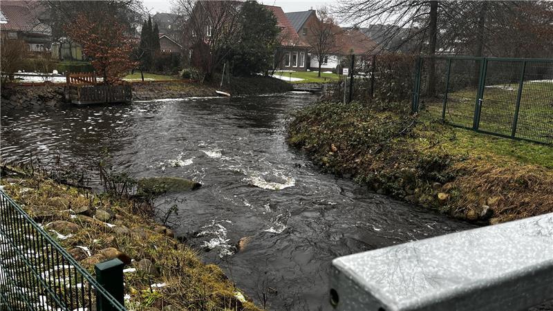 An der Abzweigung der Este zur Sohlgleite: Die Strömung ist stark. Das lockt die Wanderfische.