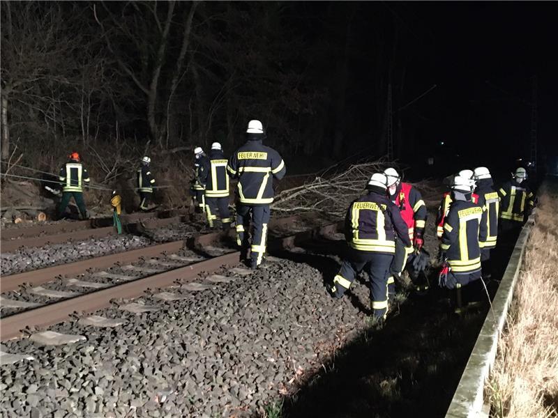 An der Bahnstrecke zwischen Horneburg und Stade hat ein Baum am Sonnabend die Oberleitung heruntergerissen. Foto: Vasel
