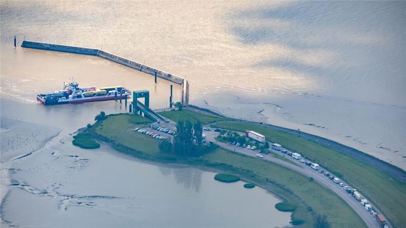 An der Elbfähre zwischen Schleswig-Holstein und Niedersachsen kommt es immer wieder zu langen Wartezeiten. (Archivbild)