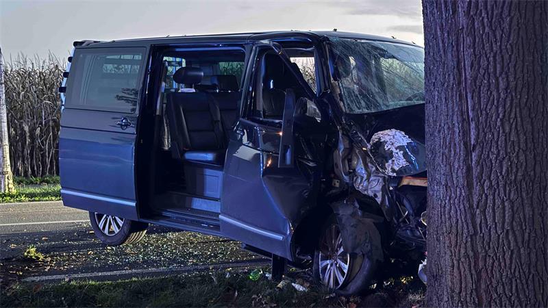 An der L123 bei Issendorf krachte der VW-Bulli frontal gegen einen massiven Baum.