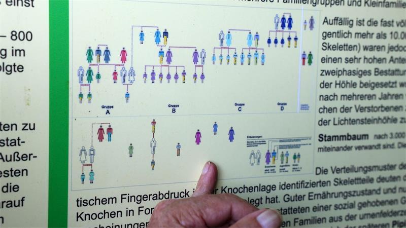 DNA-Test: Diese Familie lebt seit 122 Generation im Harz An der Lichtensteinhöhle in Osterode am Harz finden sich Informationen über die Stammbaumgeschichte.